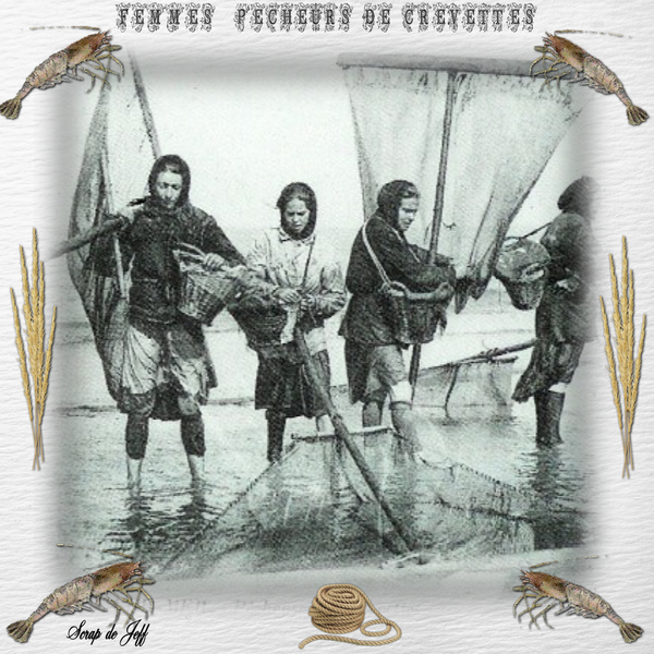 Pêcheur de crevettes