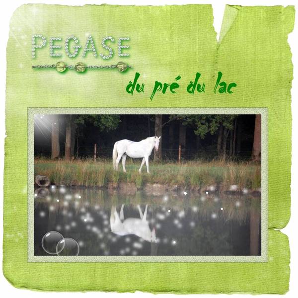 Pégase du pré du lac