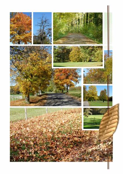 Pêle mêle automnal