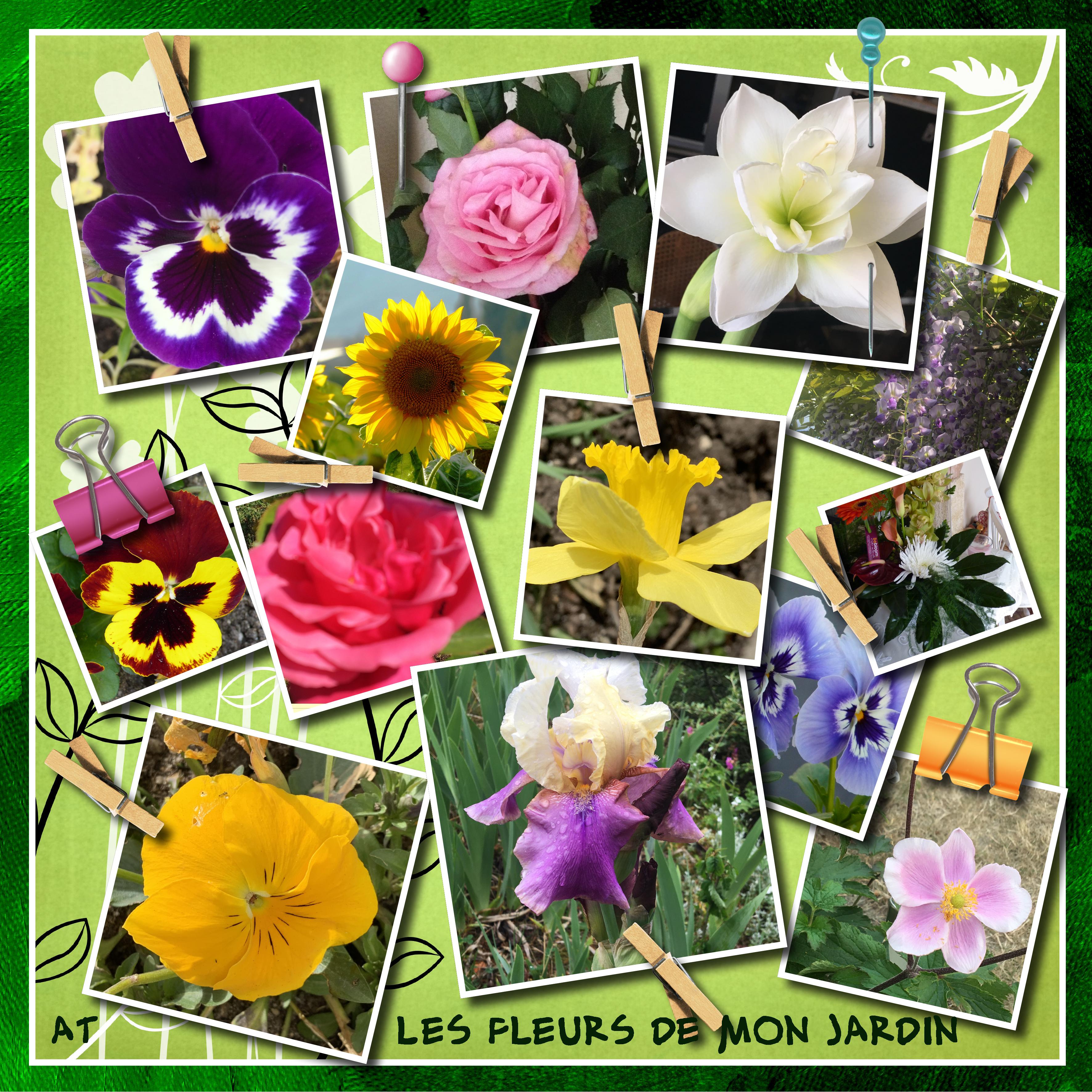 pele mele challenge snoopy 2.jpg