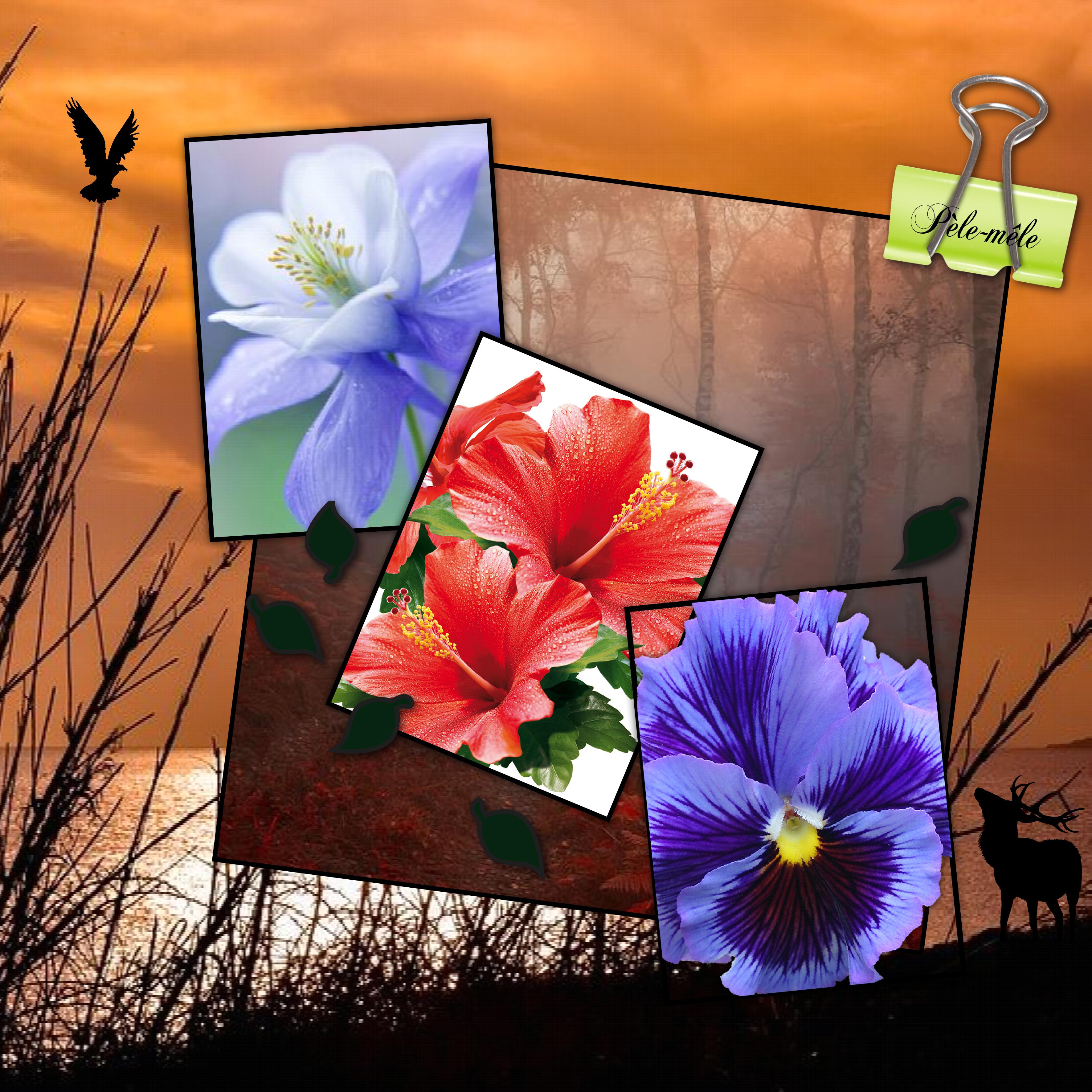 Pêle mêle défi Jeannine.jpg