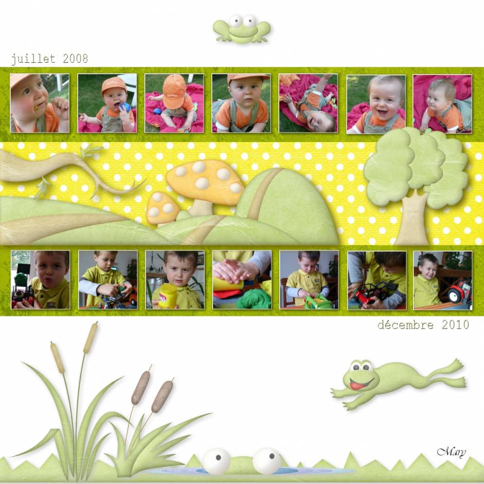 pêle mêle grenouilles