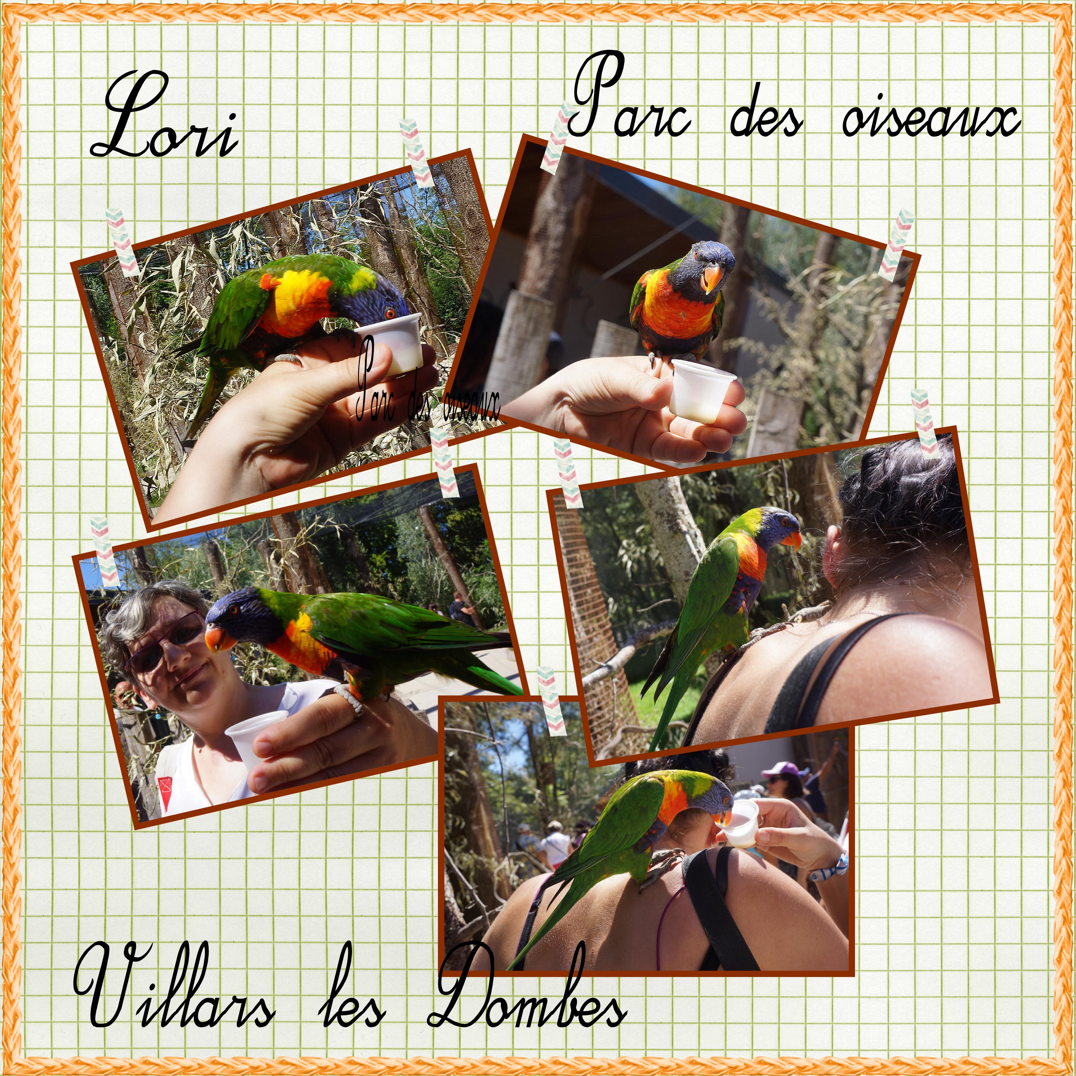 Pêle mêle lori.jpg