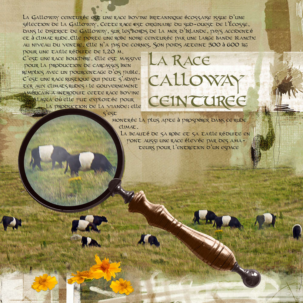 Péninsule de Dingle