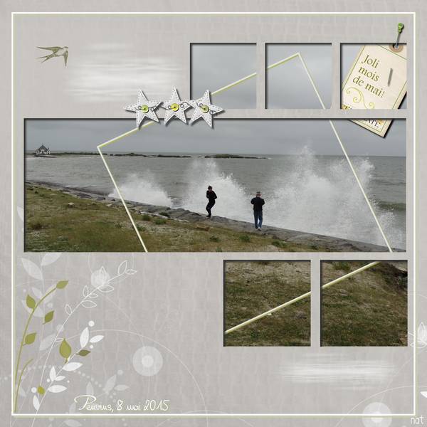 penvins_8_mai_2015_30x30