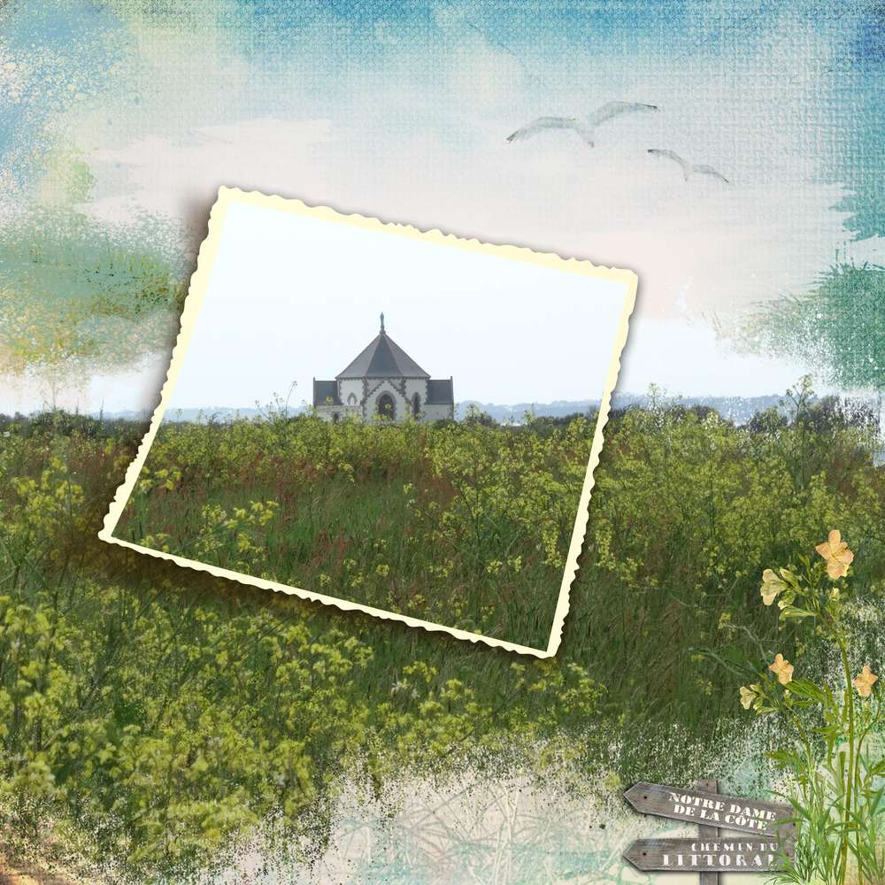 penvins_nd_de_la_c__te