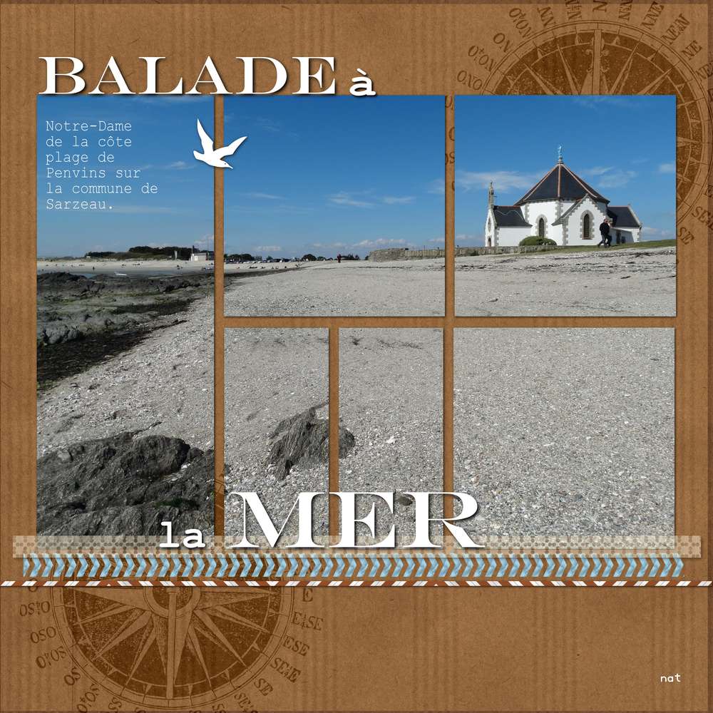 penvins_ND_de_la_c__te_2017