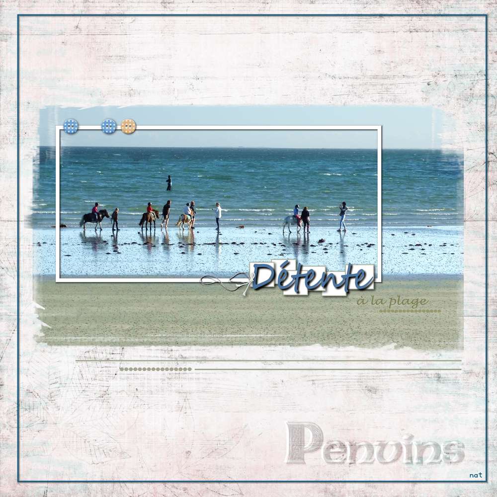 penvins_poneys_sur_la_plage