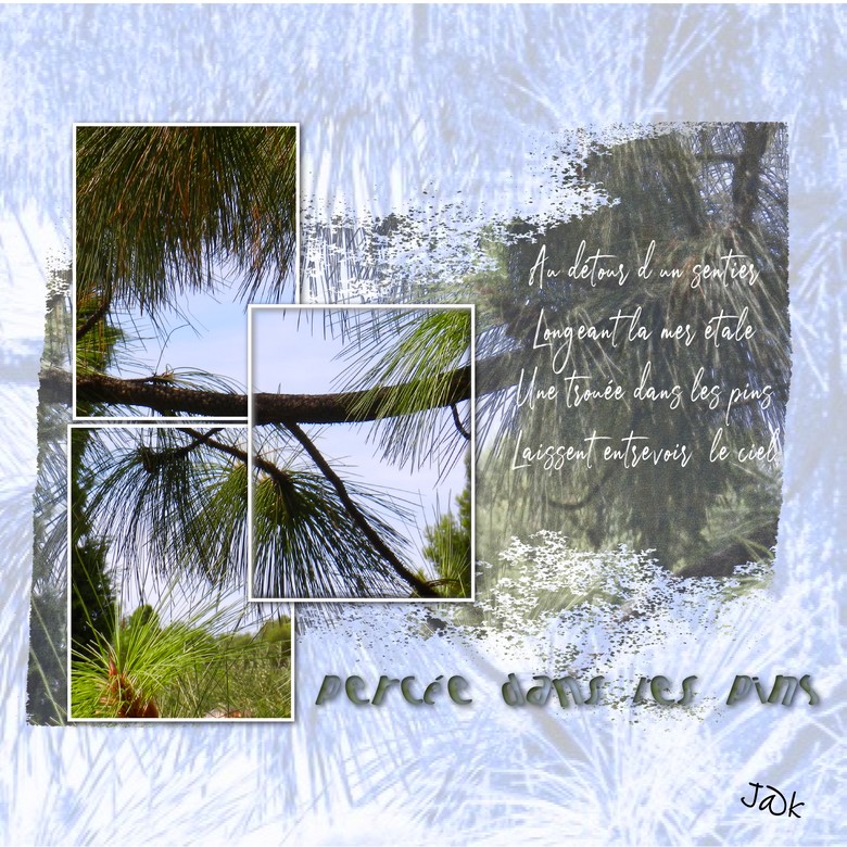 percée dans les pins au détour du sentier