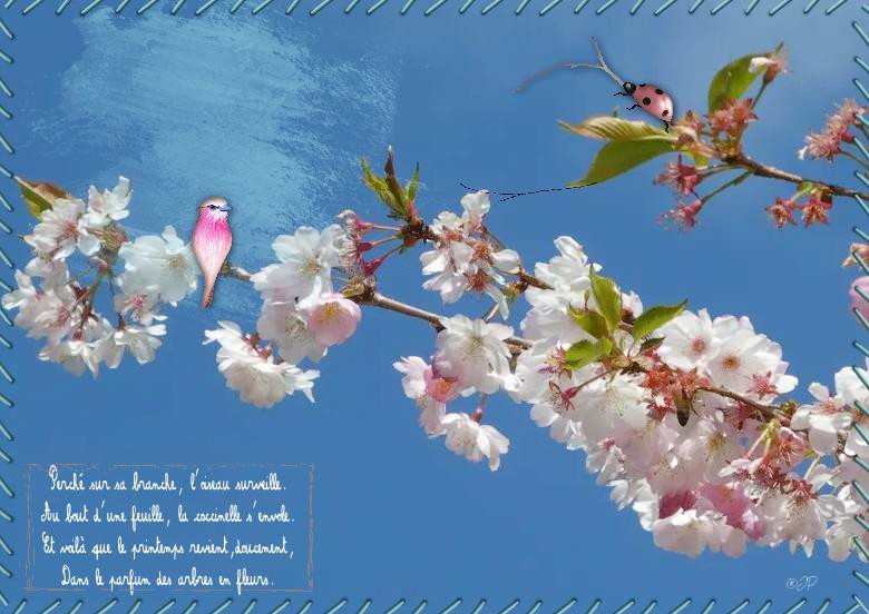 perchésur la branche.jpg