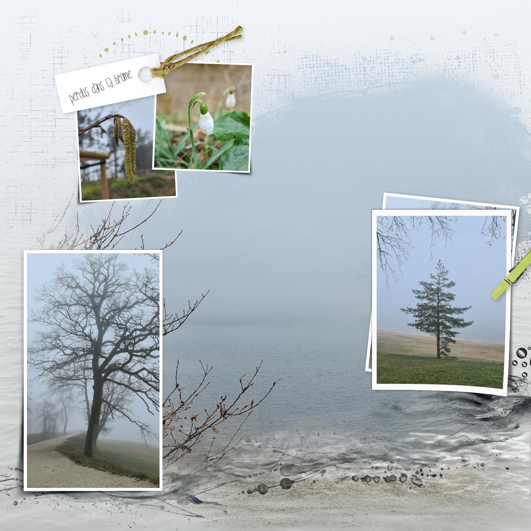 perdu dans la brume .jpg