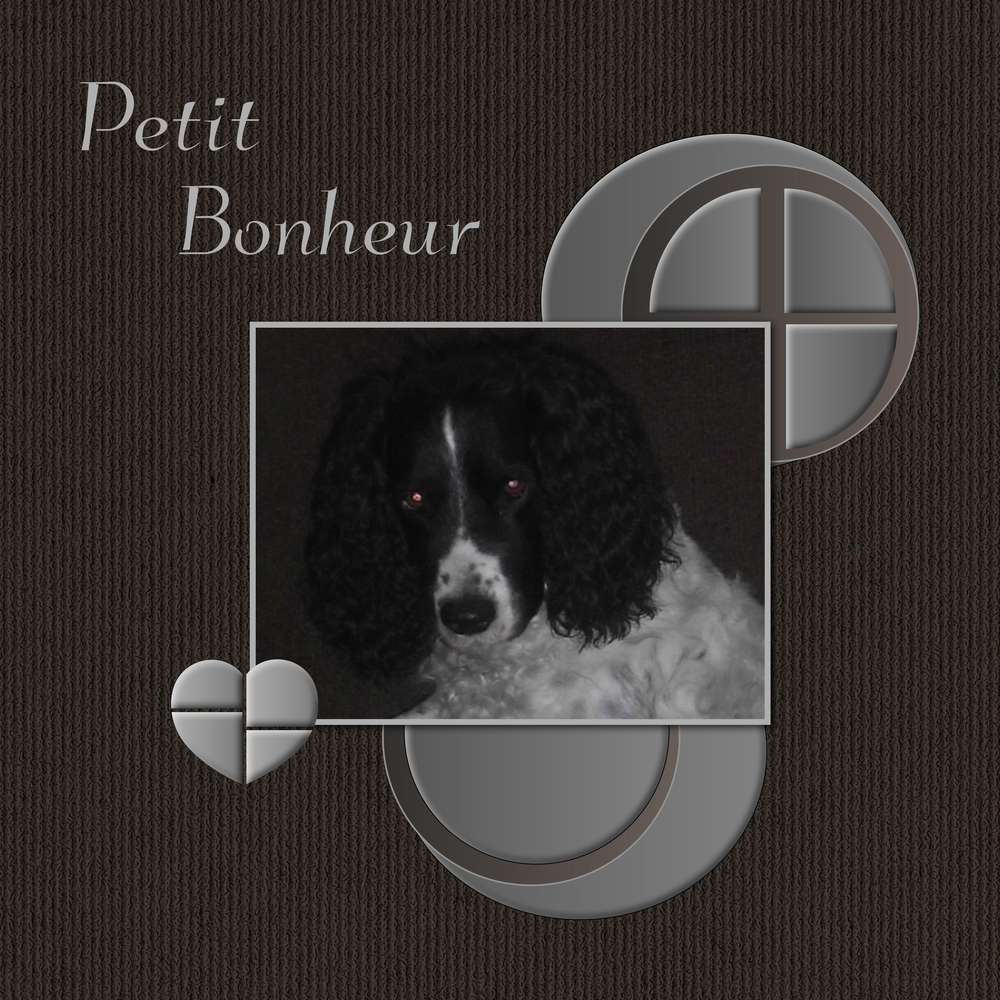 PETIT BONHEUR