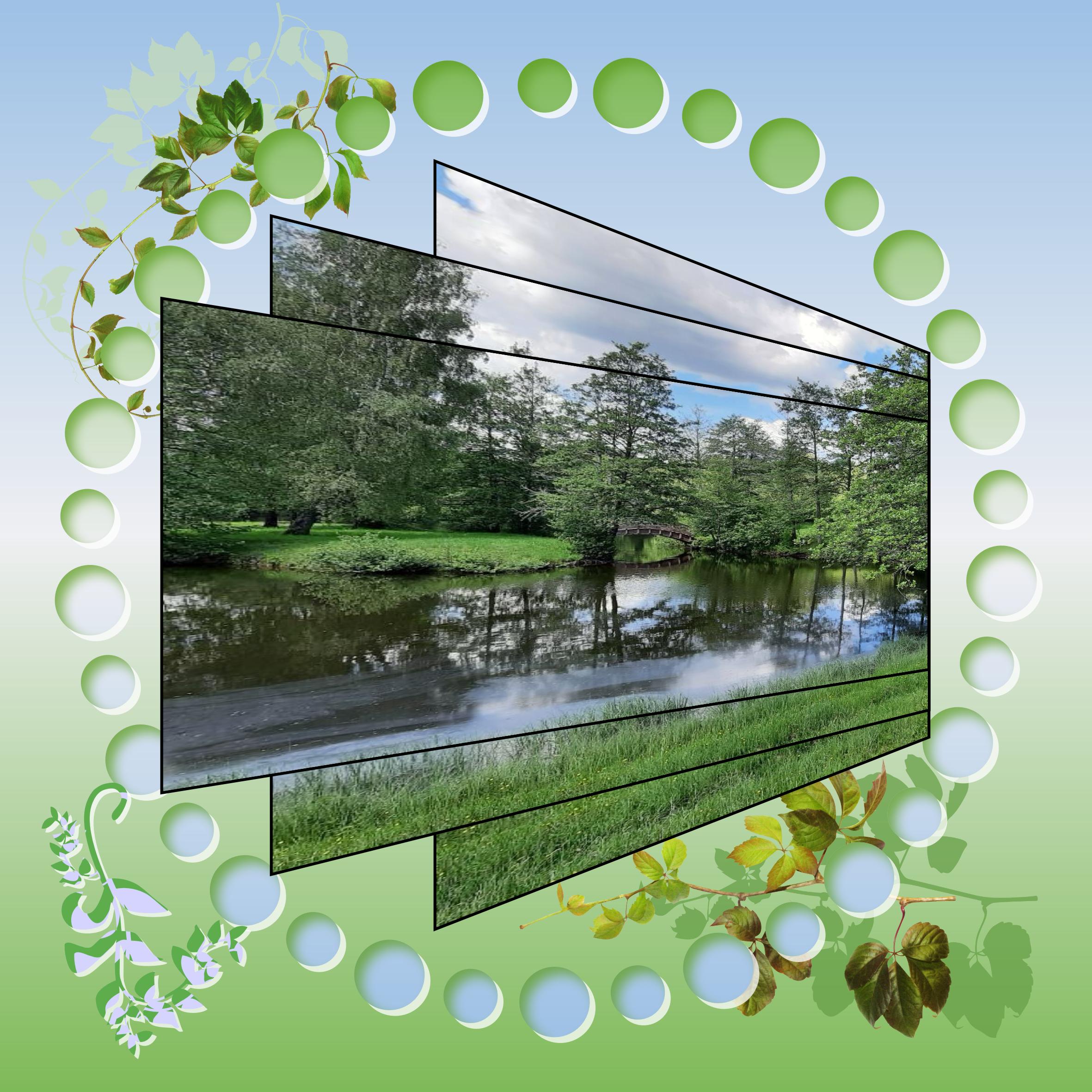 Petit coin de campagne.jpg