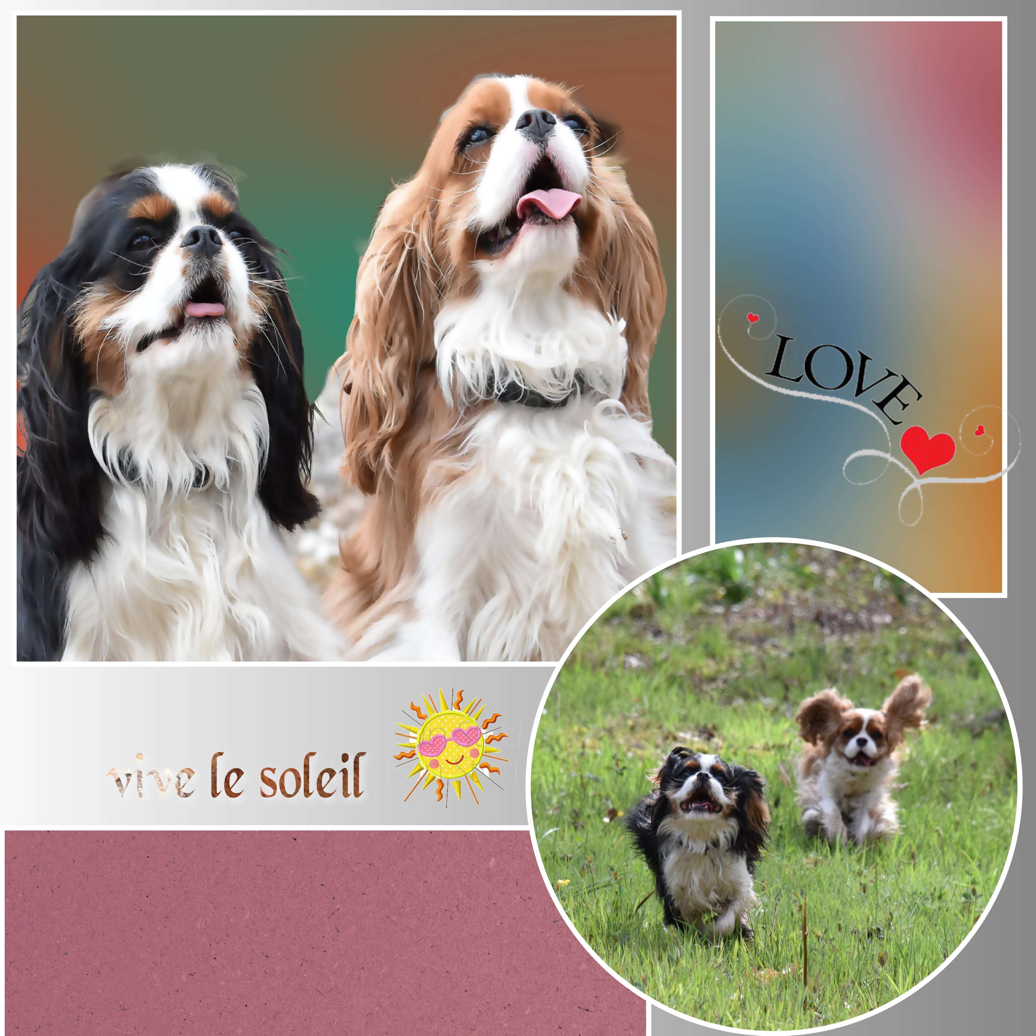 petit coucou a CATHERINE.jpg