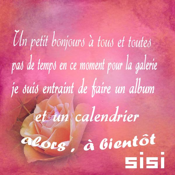 Petit coucou de Sisi