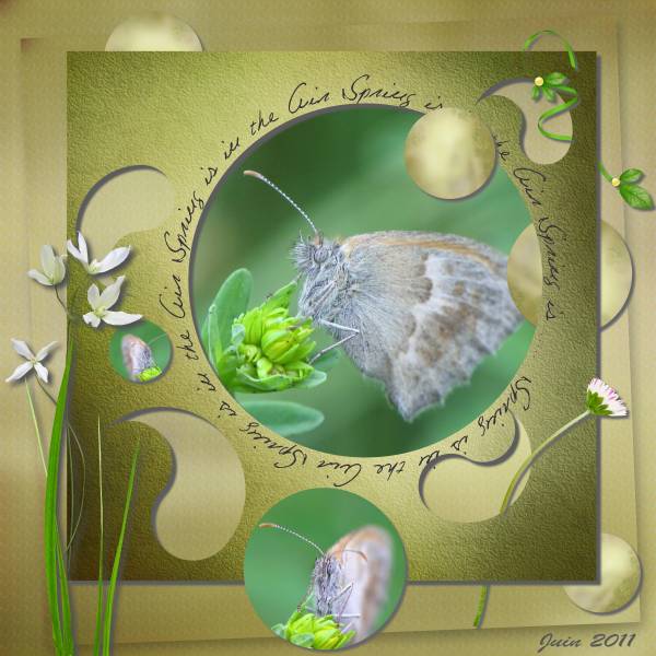 Petit défi perfo Moyson