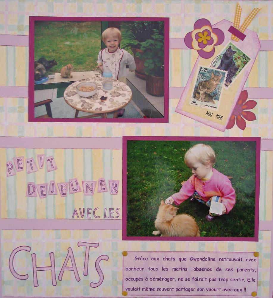 Petit déjeuner avec les chats