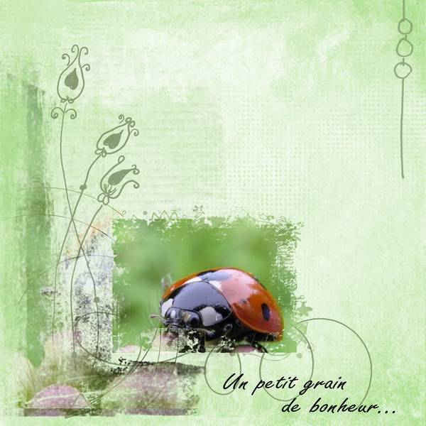 Petit grain de bonheur