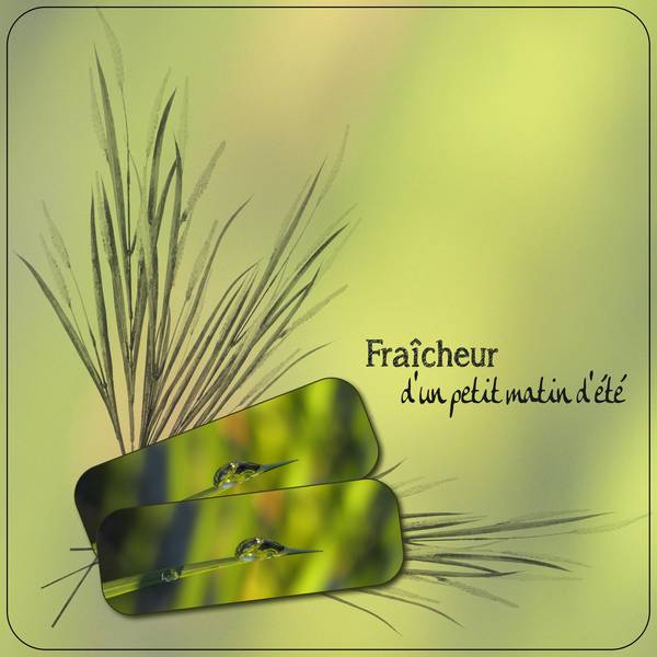 Petit matin d'été