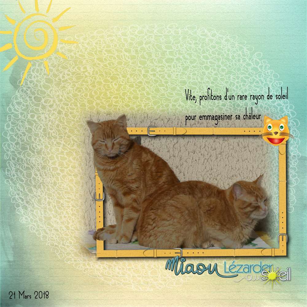 petit moment au soleil