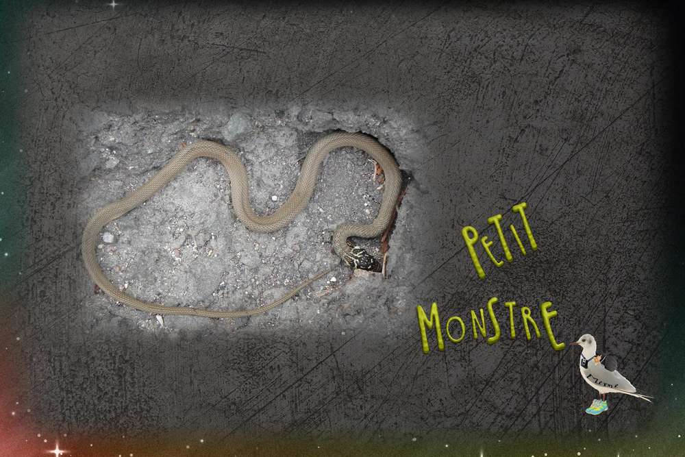 petit monstre....