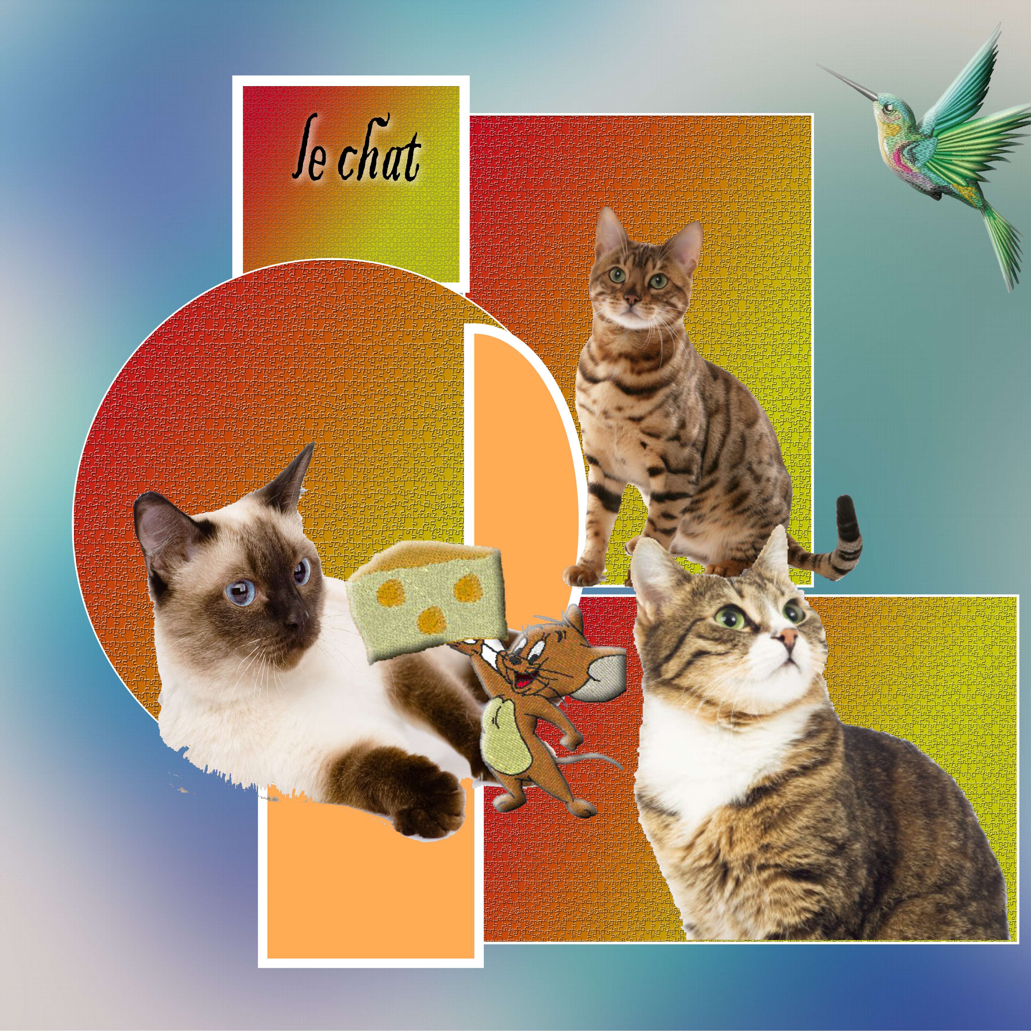 petit montage banal.jpg