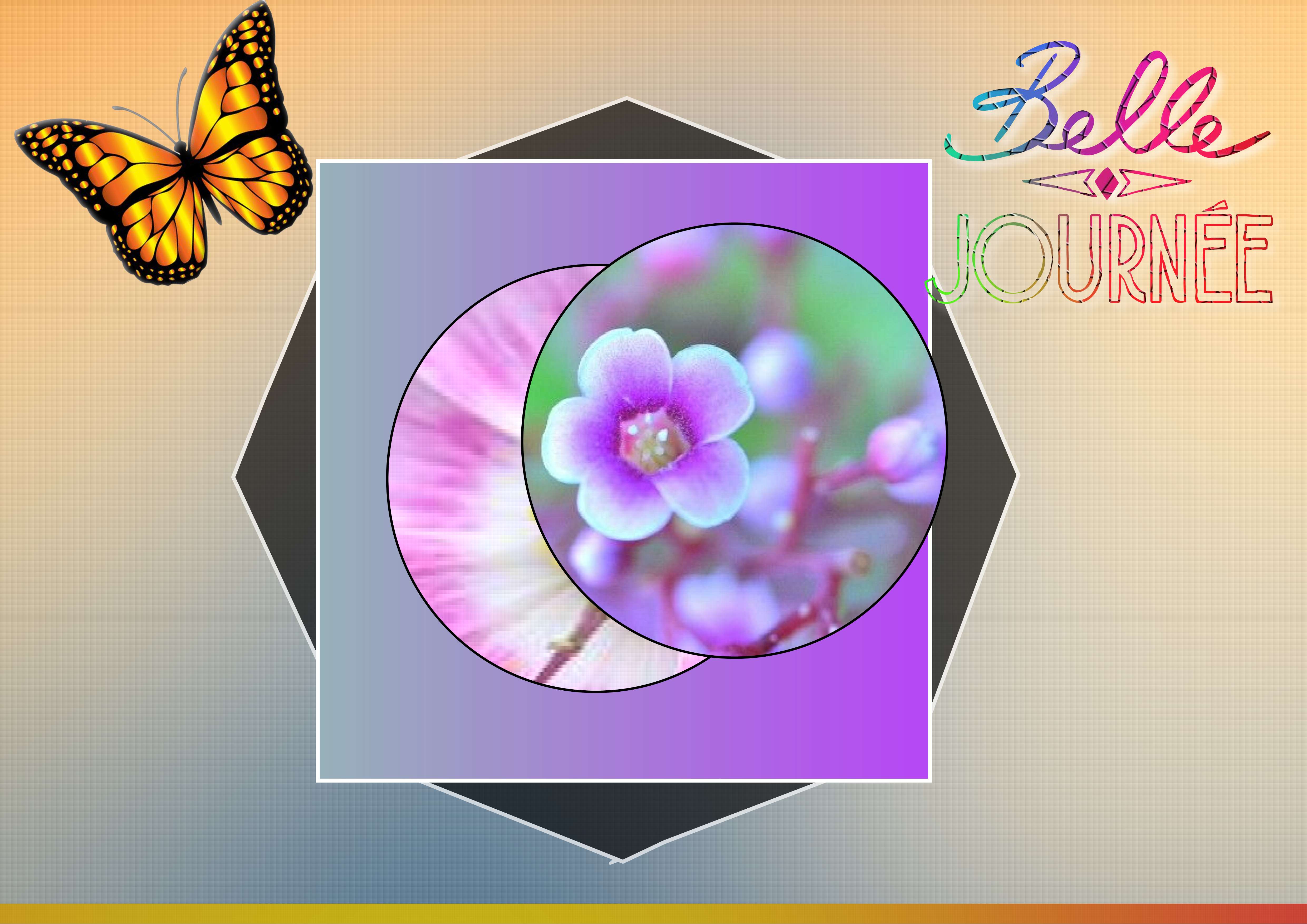 petit montage de ce lundi.jpg