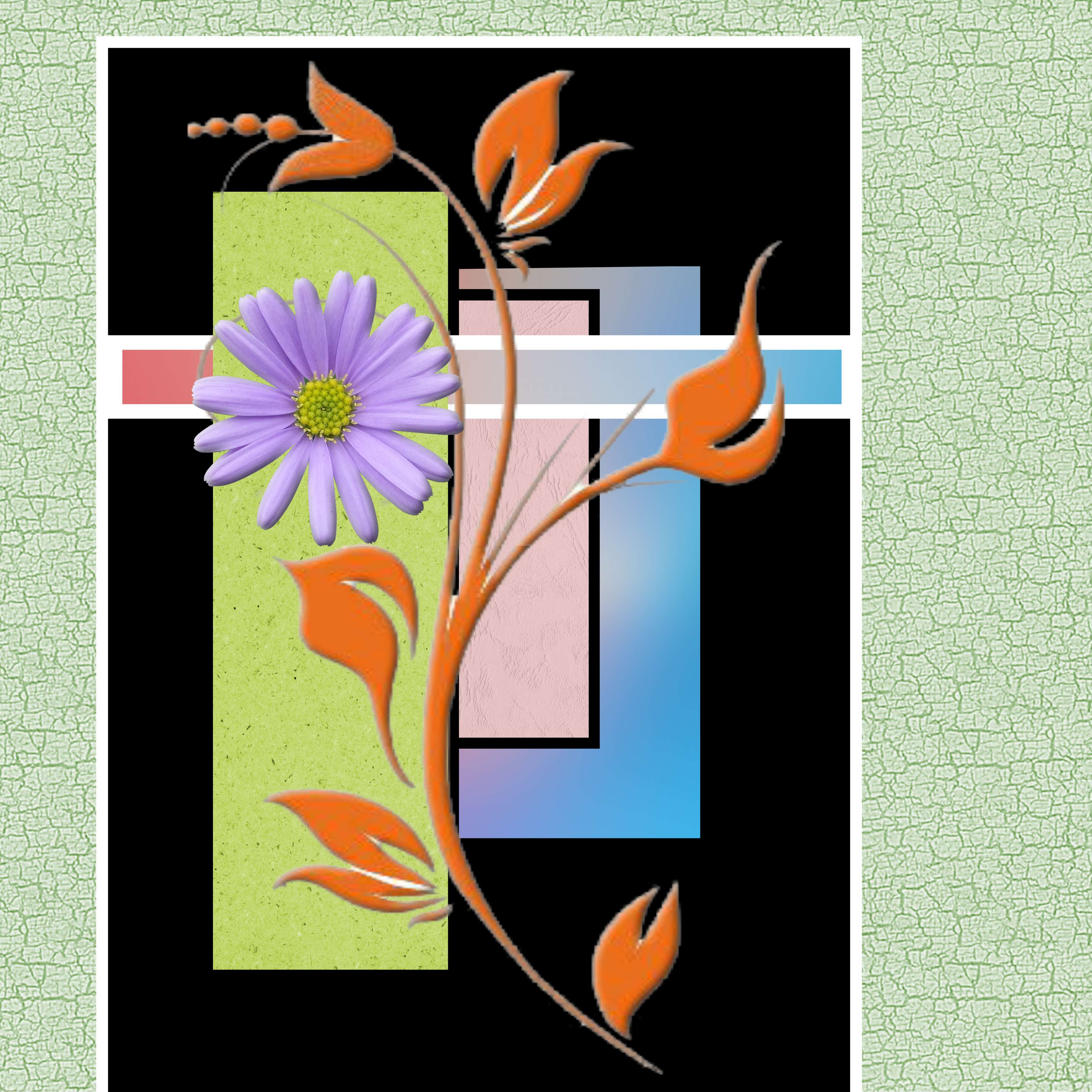 petit montage de ce soir.jpg