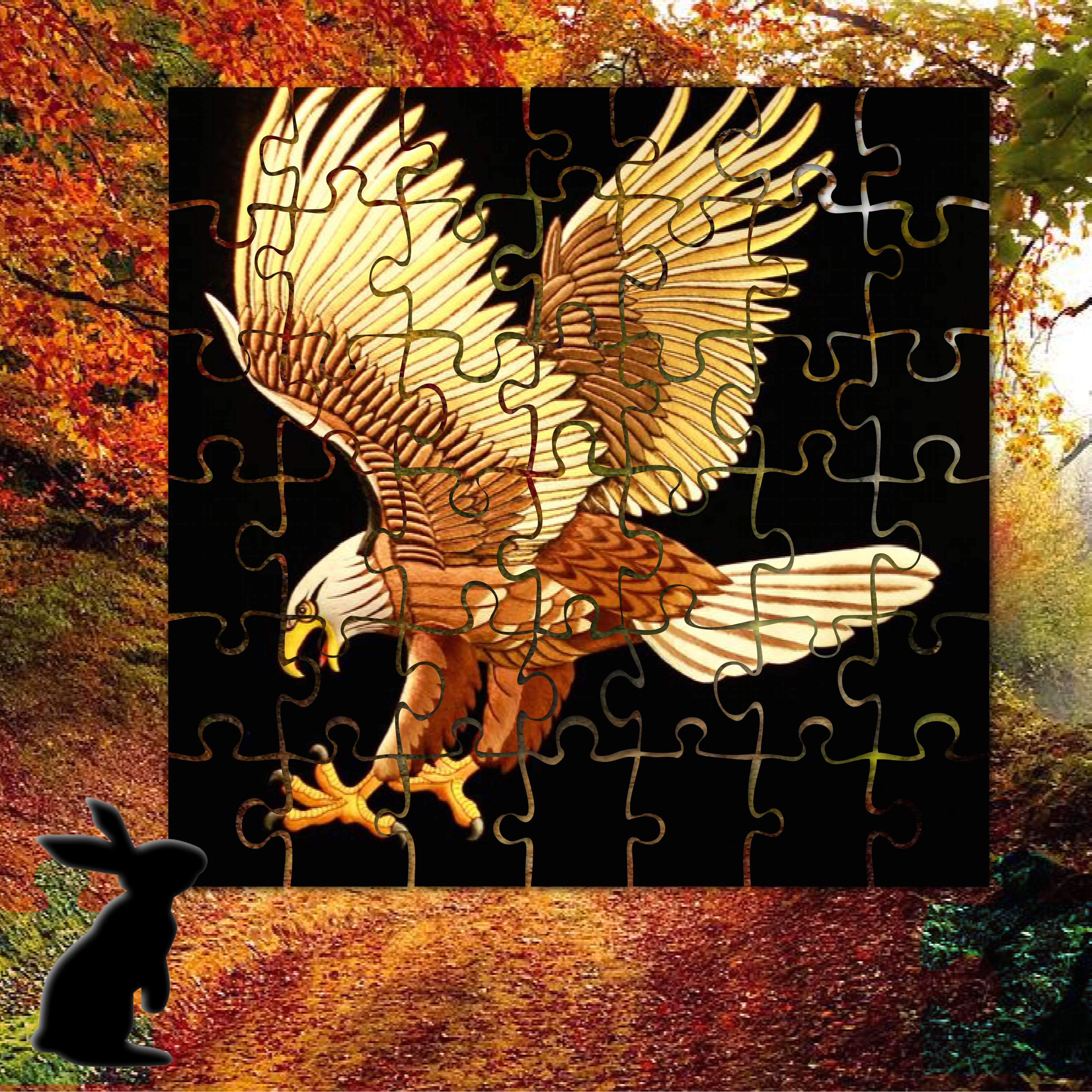 petit montage  en puzzle.jpg