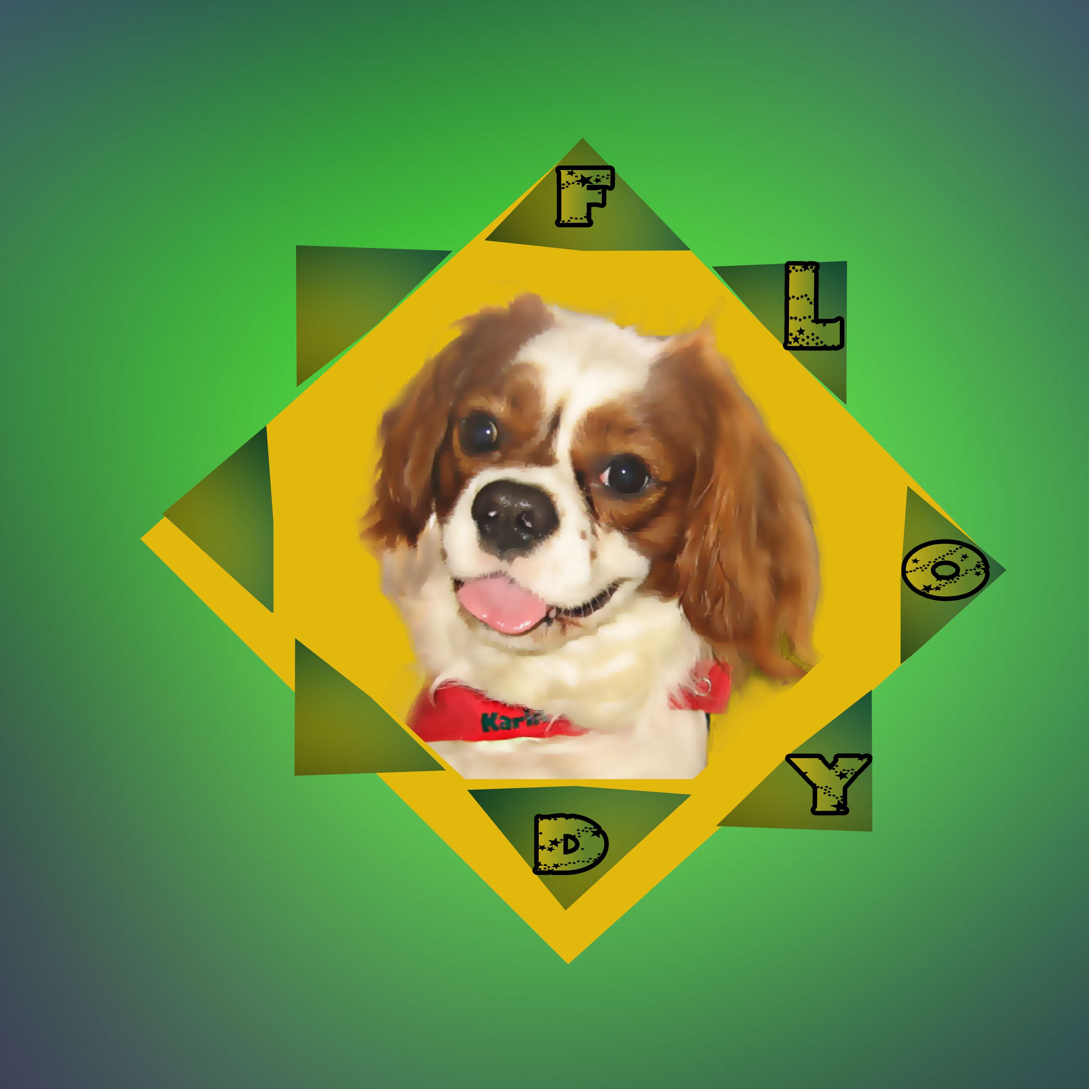 petit montage  pas terrible.jpg