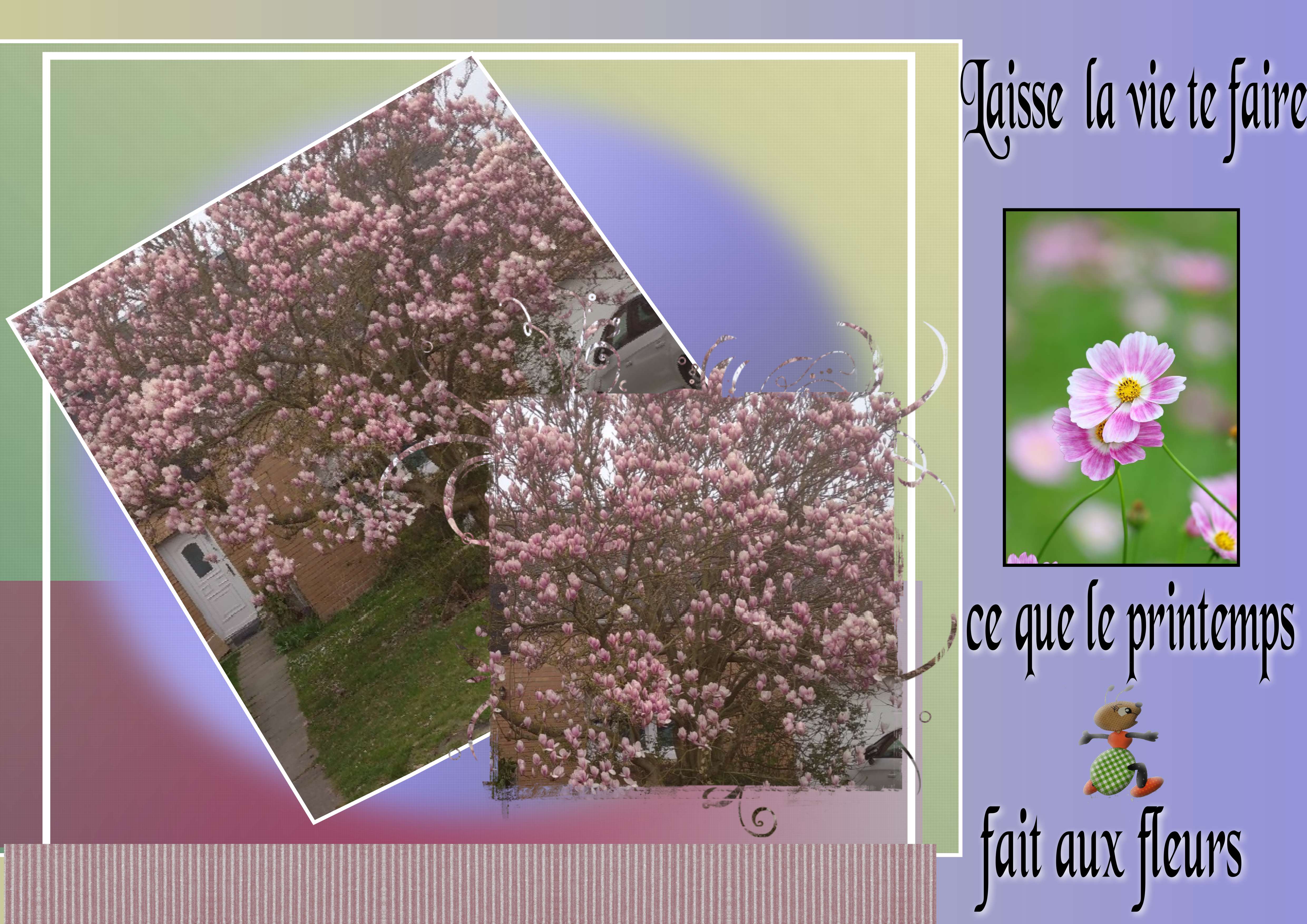 petit montage sur le printemps revue.jpg