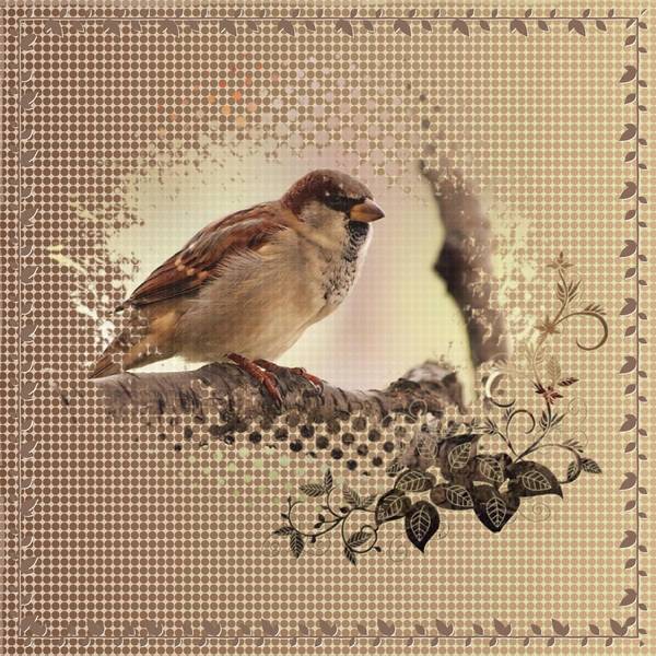 PETIT OISEAU sur sa BRANCHE