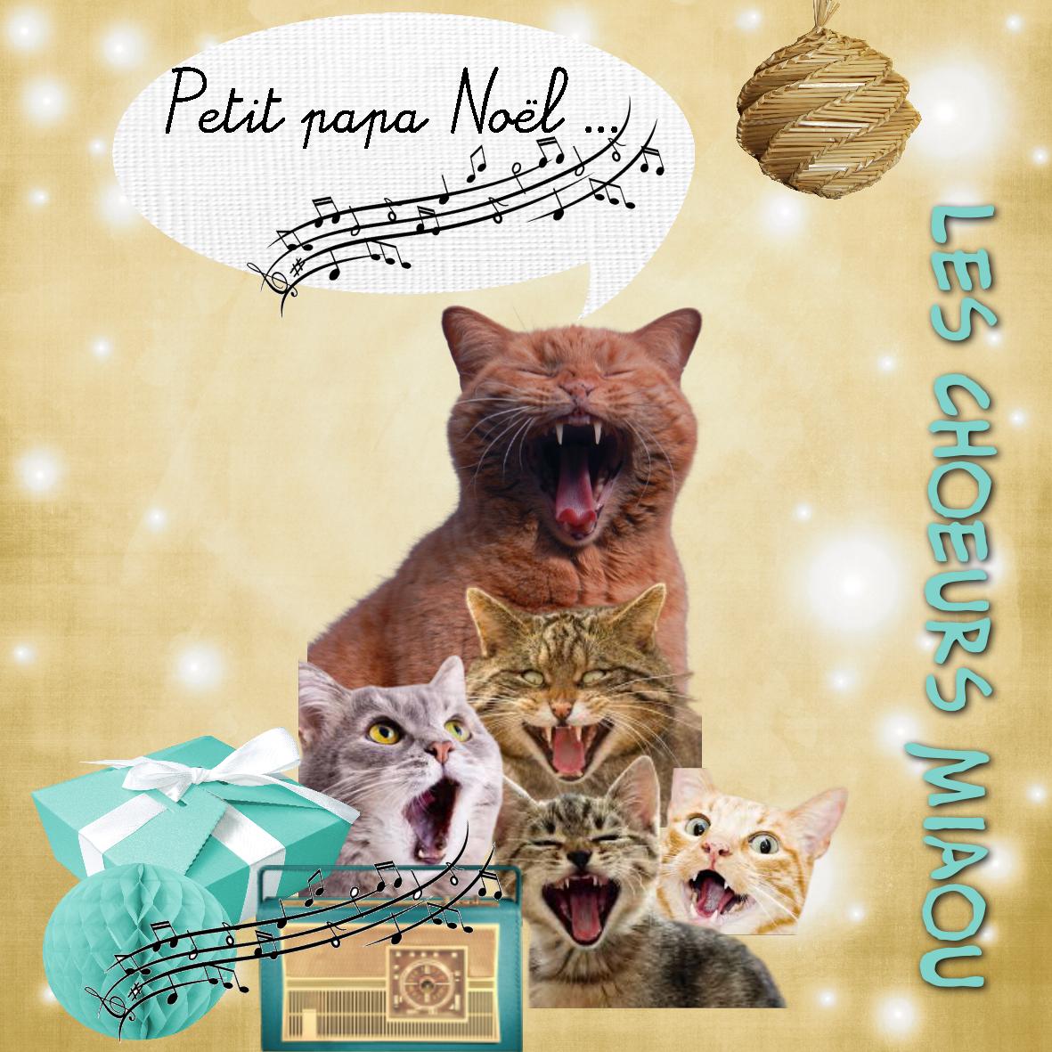 petit papa chat noel.jpg