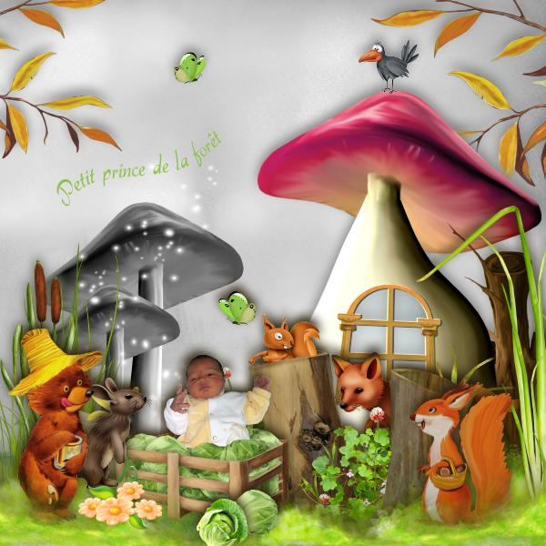 PETIT PRINCE DE LA FORET