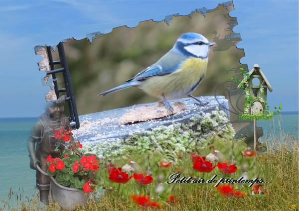 PETIT_AIR_DE_PRINTEMPS