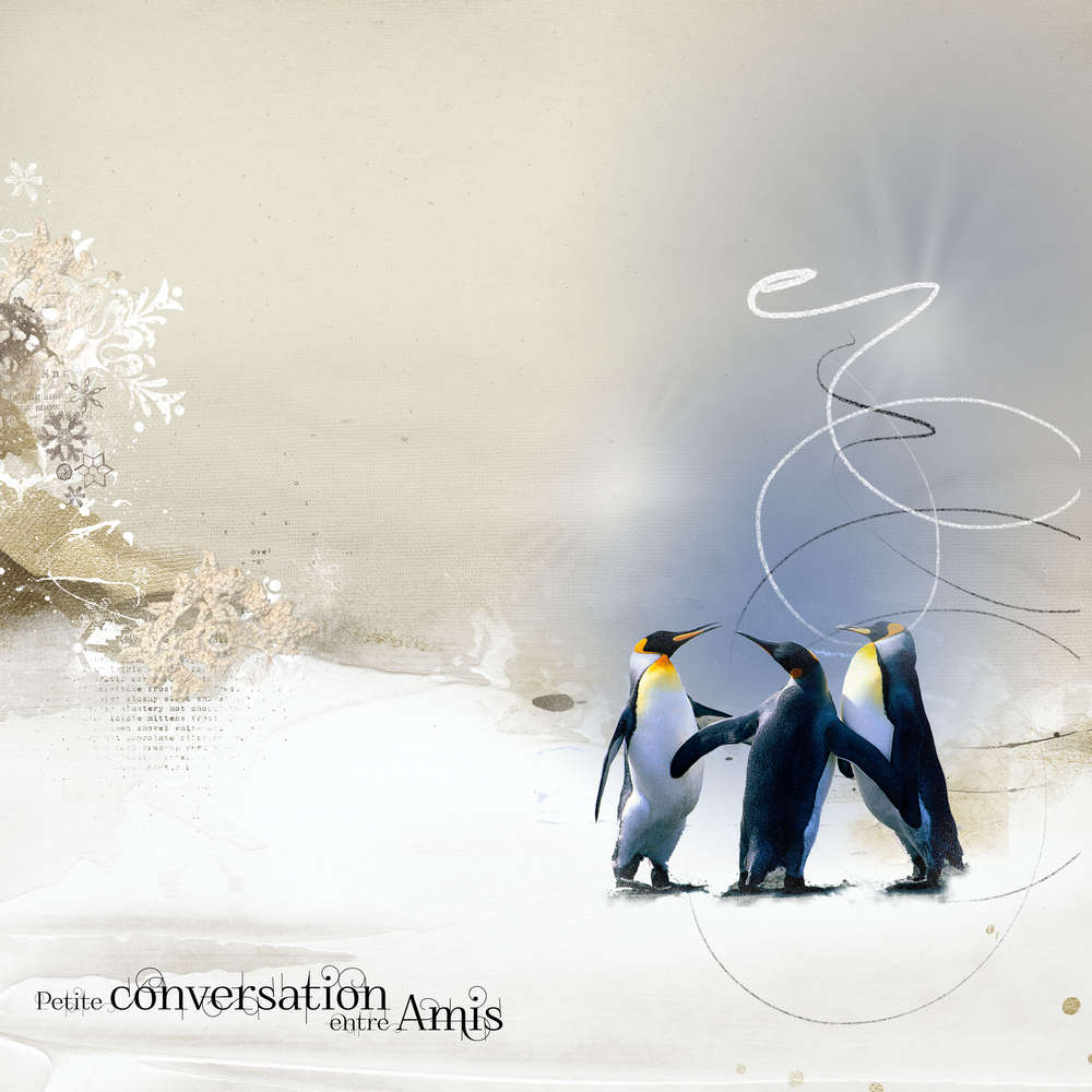 Petite conversation entre amis !