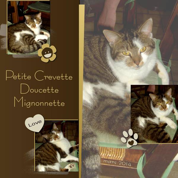 PETITE CREVETTE - DOUCETTE - MIGNONNETTE