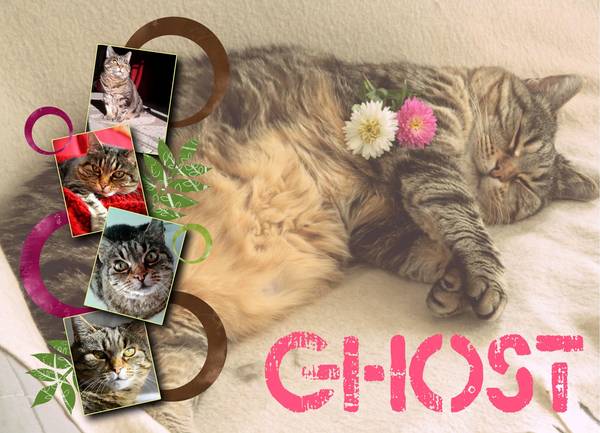 Petite Ghost