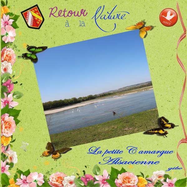petite_Camargue3