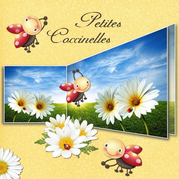 PETITES COCCINELLES