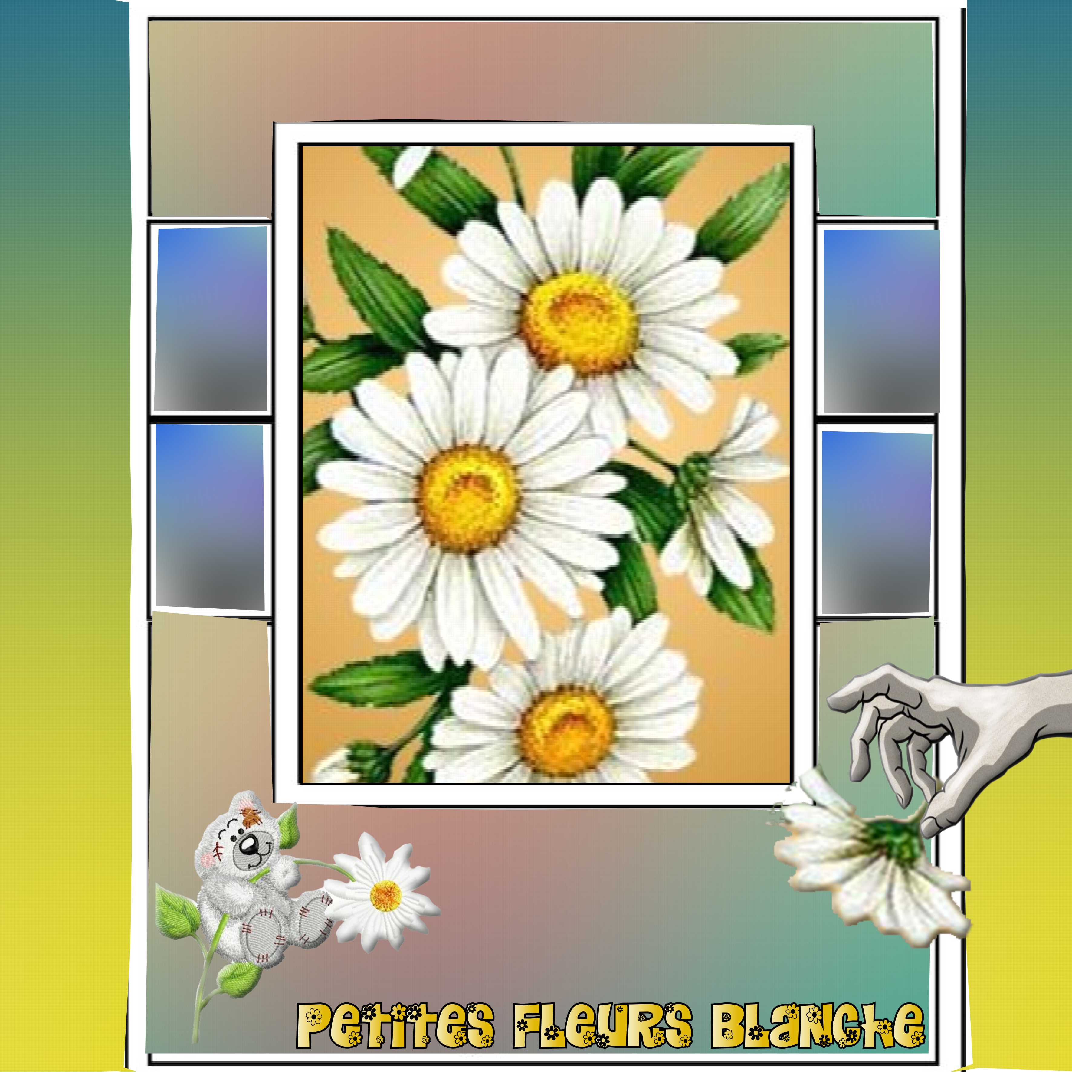 petites fleurs blanche.jpg