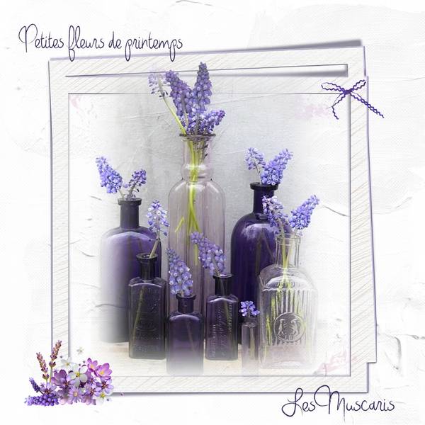 Petites fleurs de printemps