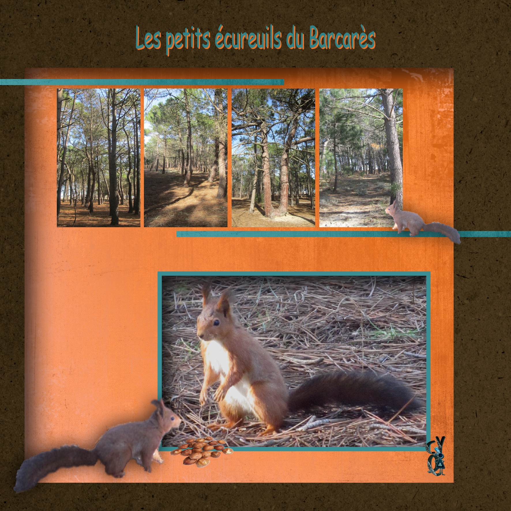 Petits écureuils.jpg