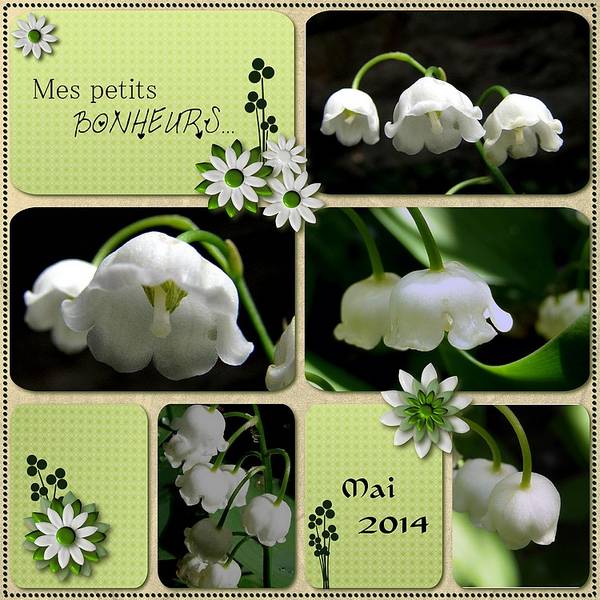 Petits grains de bonheur