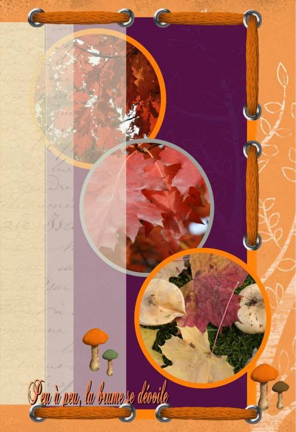 Peu à peu, la brume...