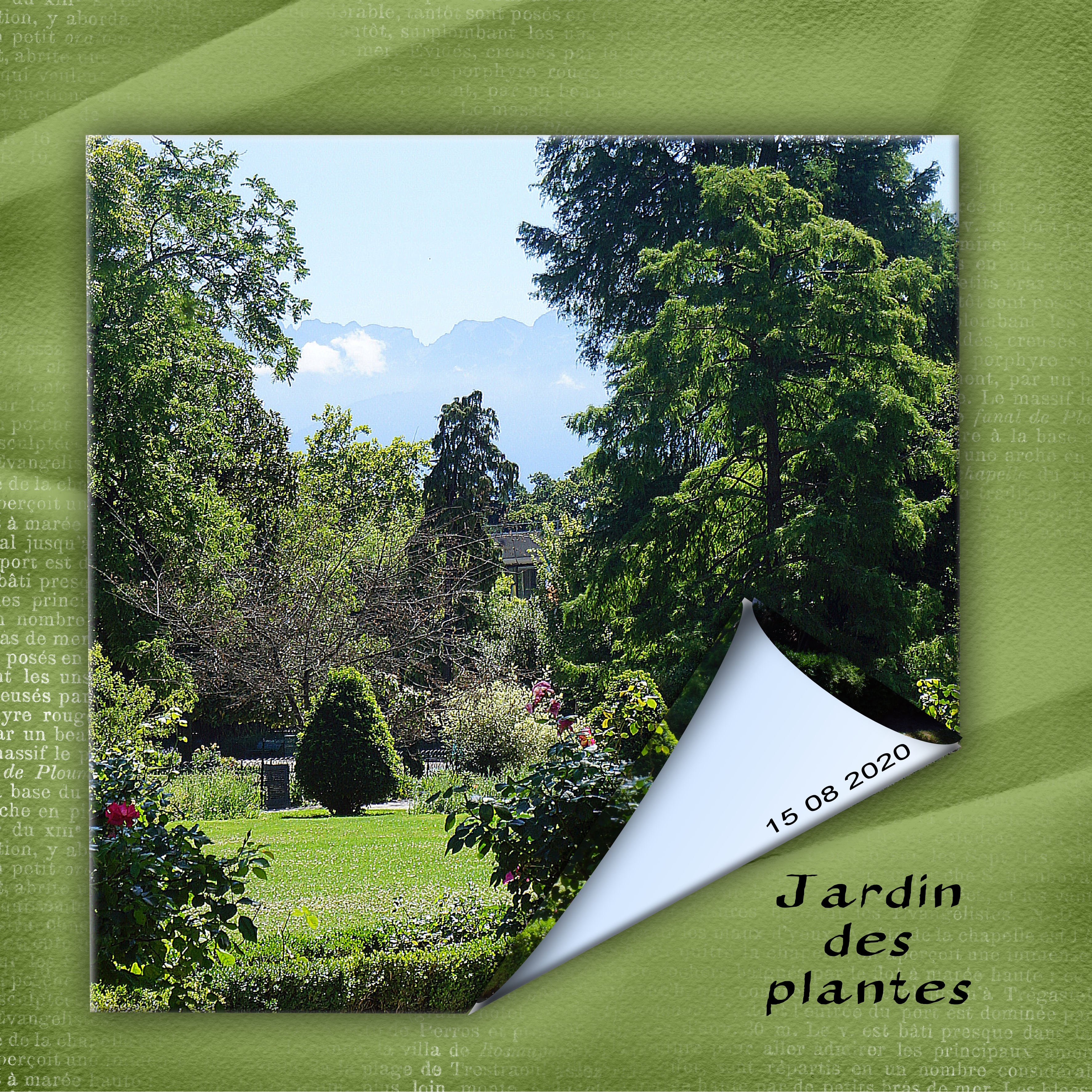 photo cornée 16 08 2020.jpg