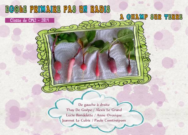 Photo de classe