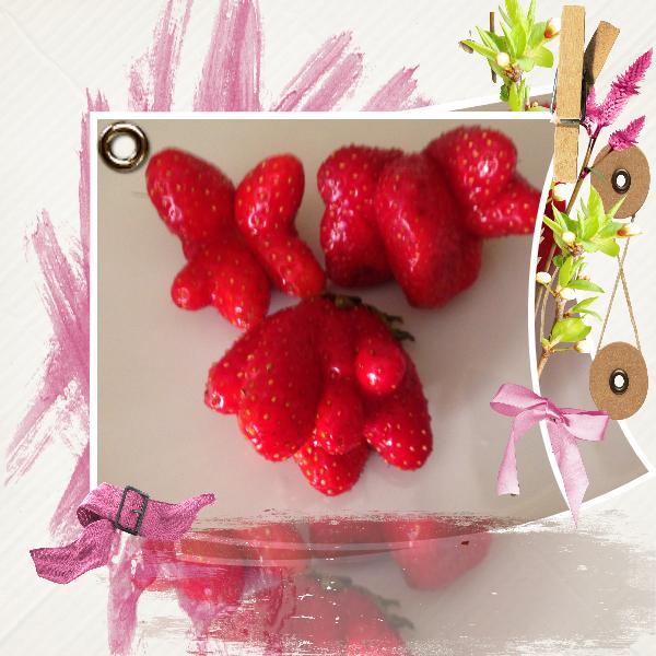 photo du jour fraises bizarres