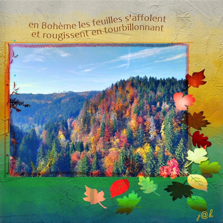 photo forêt  Bohème du_08-11-21.jpg