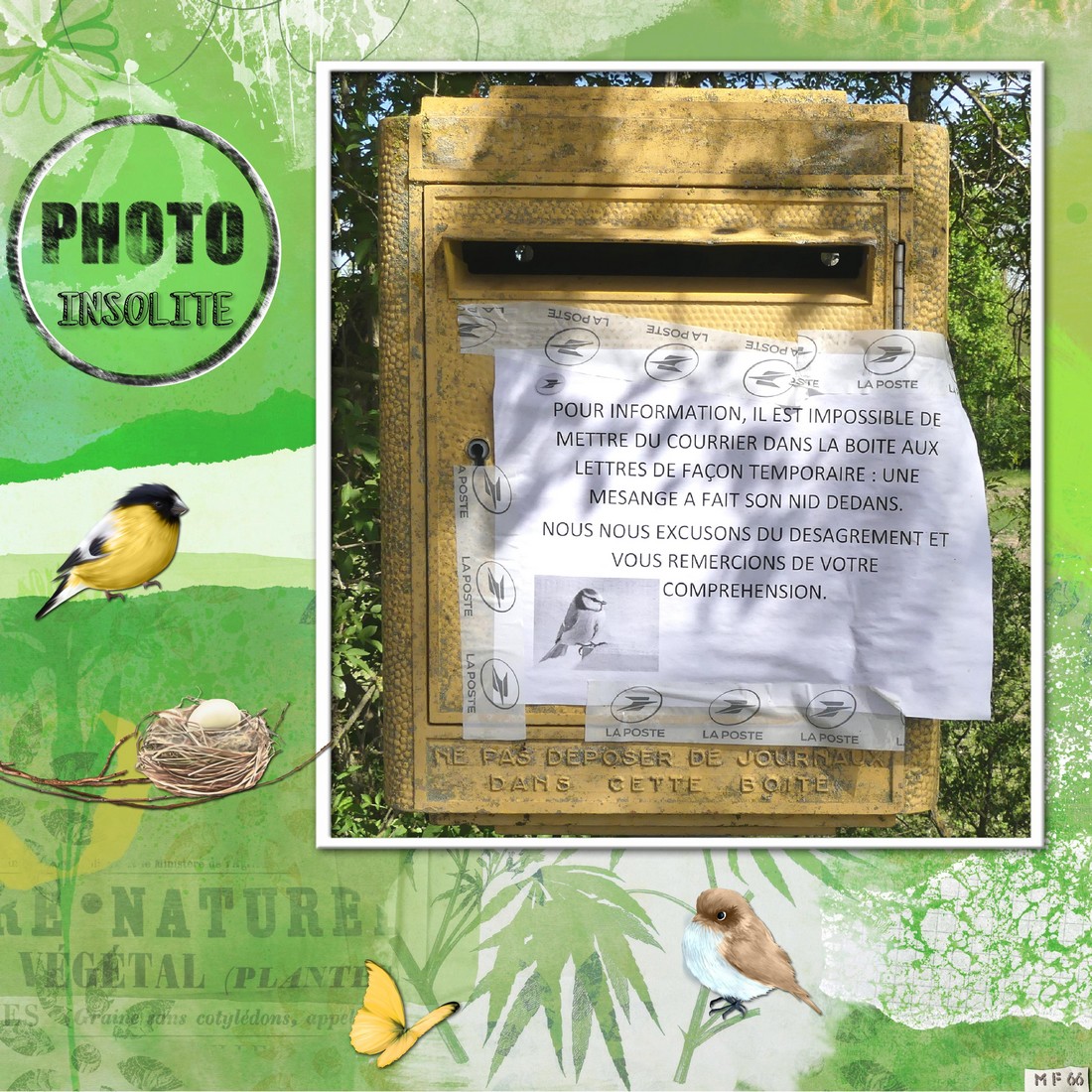 photo insolite auvergne mai 2023.jpg